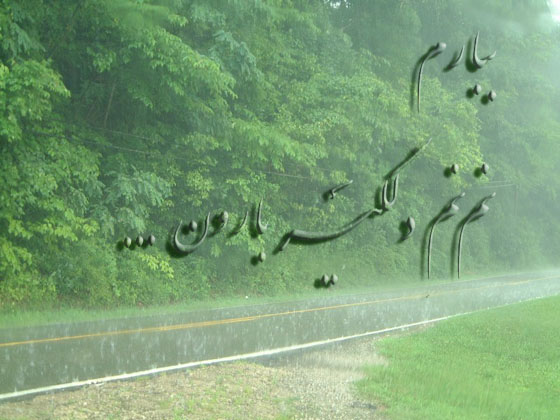 ATRIN نیم‌رخ