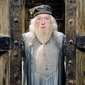 Albus Dumbledore نیم‌رخ