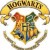 harry_james_potter نیم‌رخ