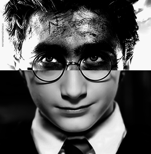 Rorry Potter نیم‌رخ