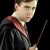 Neville longbottom نیم‌رخ